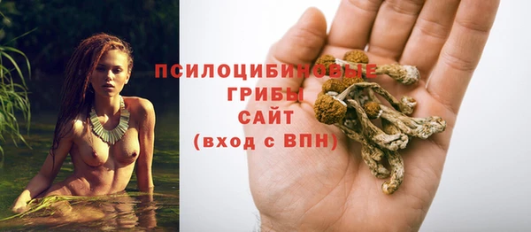 прущие крисы Абдулино