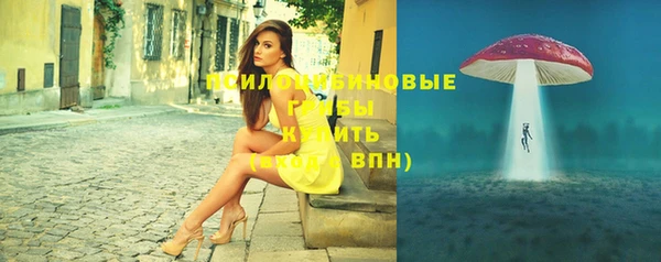 твердый Абаза