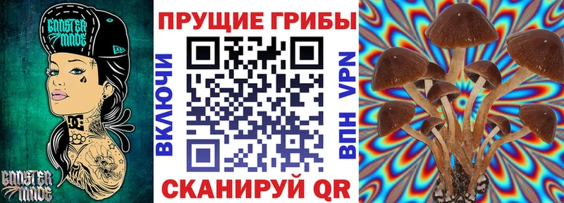 Псилоцибиновые грибы ЛСД  магазин  наркотиков  Волоколамск 
