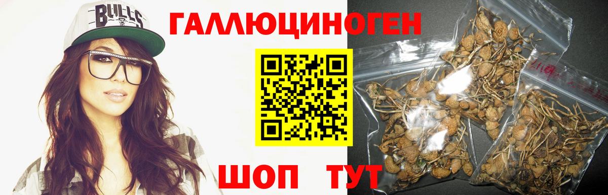Волоколамск  Псилоцибиновые грибы ЛСД  Вход с VPN 
